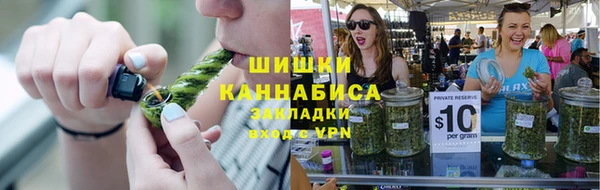 гидра Арсеньев