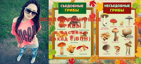 стафф Армянск