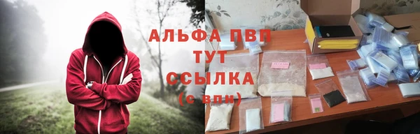спиды Аркадак