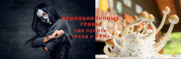 гидра Арсеньев
