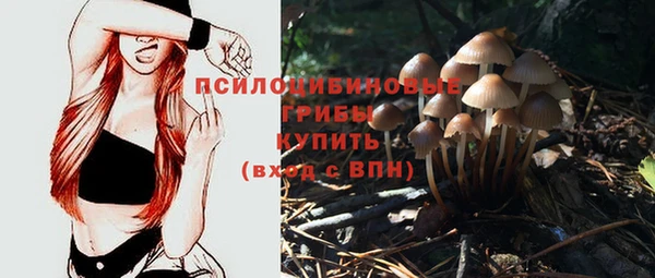 гидра Арсеньев