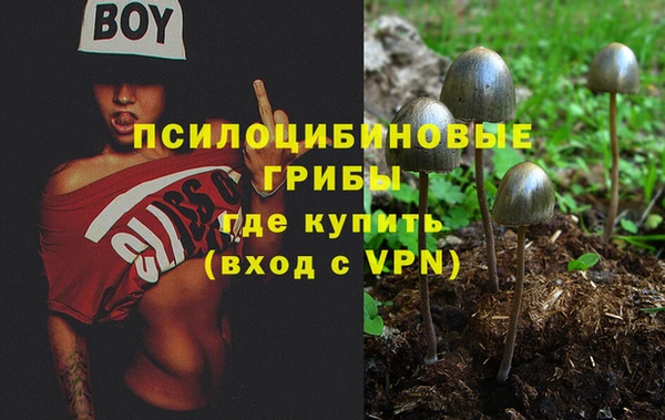 стафф Армянск