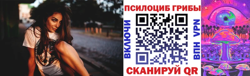 Псилоцибиновые грибы Magic Shrooms  купить наркоту  Шадринск 